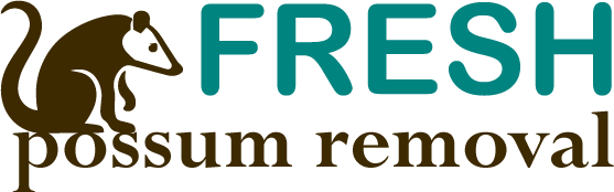 Fresh Possum Removal Brisbane